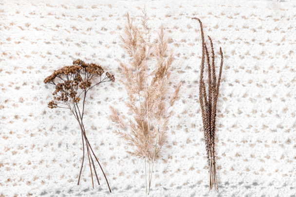 Dried flowers bouquet on white knitted woolen scarf background. Dry reeds, river cane, spikelets and meadow flowers. Winter and autumn in village or countryside. Beautiful flat lay, neutral colors - Photo, Image