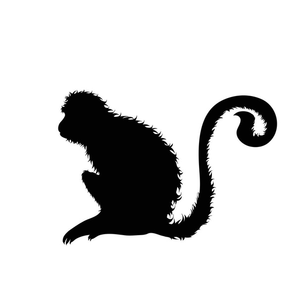 Sílhueta vetorial de macaco sobre fundo branco. - Vetor, Imagem