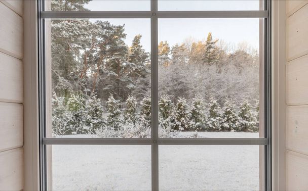 Domácí vinylovaná okna se zimním výhledem na zasněžené stromy a rostliny - Fotografie, Obrázek