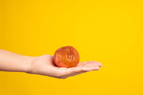 A female hand holds a rotten apple with a worm on a yellow background. Expired products. - Zdjęcie, obraz