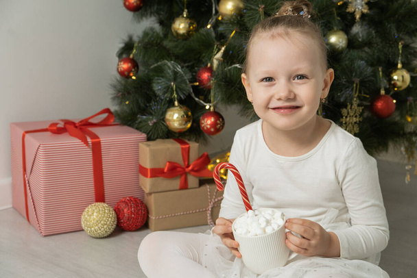 cute little girl holds a cup of hot chocolate or cocoa with a marshmallow near Christmas tree. - Photo, Image