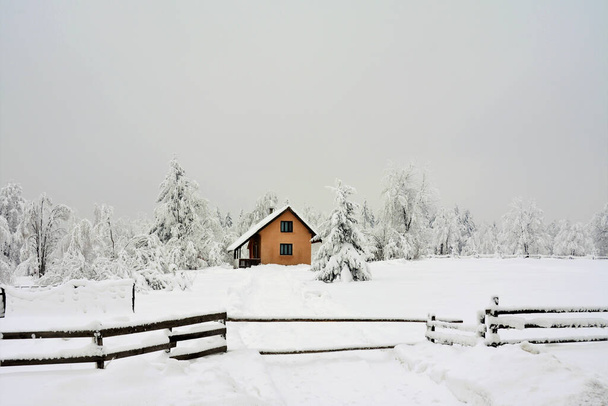A beautiful shot of a house in a snowy forest - Valokuva, kuva