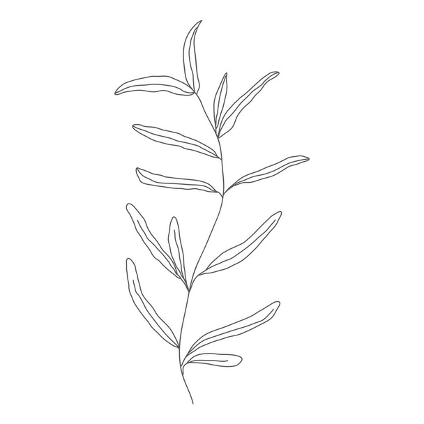 Disegno minimalista. vettore foglia una linea art. Botanical Sketch Vector Illustration. Natura vettore Linea di disegno. per l'arredamento domestico come manifesti, arte della parete - Vettoriali, immagini