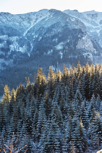 Vertical image of mountain scenery in winter - Fotoğraf, Görsel