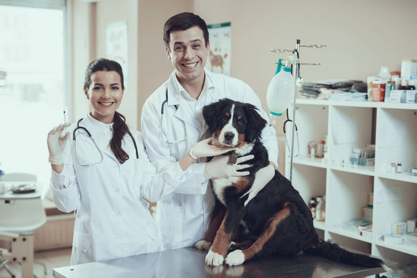 Woman veterinarian stands in the clinic. - Foto, immagini