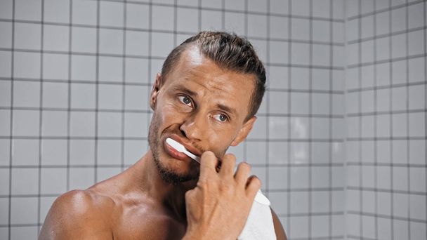 Üstsüz bir adam dişlerini fırçalıyor ve banyoya bakıyor.  - Fotoğraf, Görsel