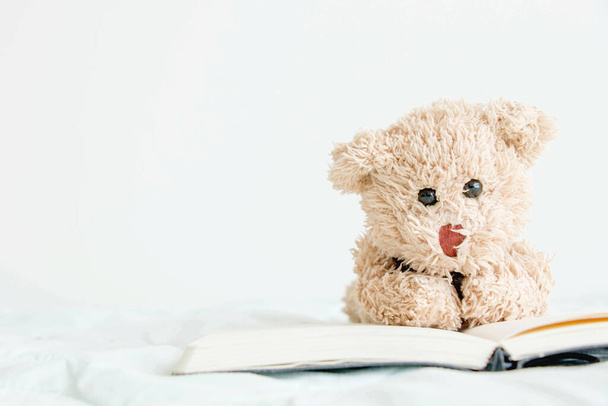 Sınav için okuması gereken bir kitabı olan sevimli oyuncak ayı. - Fotoğraf, Görsel