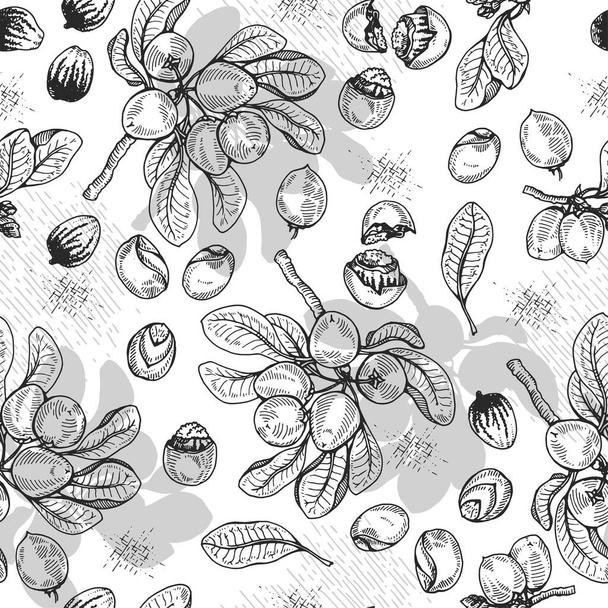Seamless Pattern with branch Shea tree with fruits, nuts, leaves and Shea butter. Detailed hand-drawn sketches, vector botanical illustration. For cosmetics, medicine, aromatherapy. - Vetor, Imagem