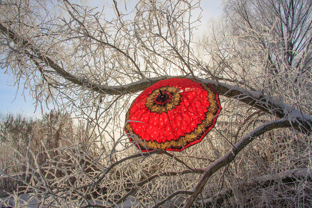 ハロフロストで覆われた木の枝に吊るされた赤い傘 - 写真・画像