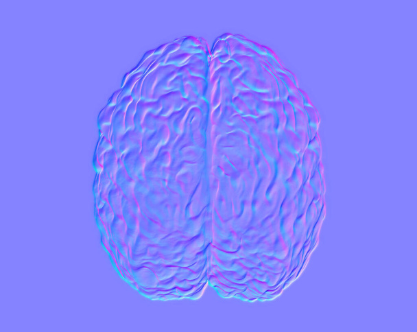 Normale Karte des menschlichen Gehirnmodells, Textur für den Einsatz in 3D-Programmen, 3D-Renderer - Foto, Bild