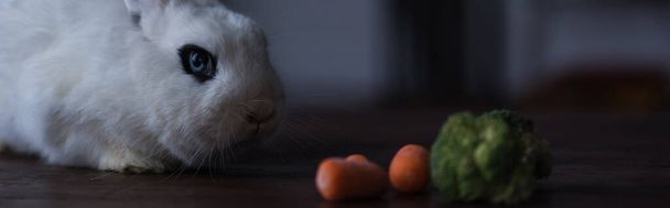 cute rabbit with black eye near carrot and broccoli, banner - Foto, afbeelding