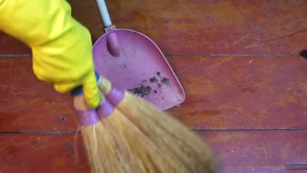 Varrer detritos de chão em uma panela de plástico com uma vassoura. - Filmagem, Vídeo