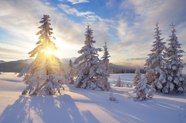 Sunny winter landscape - Photo, Image