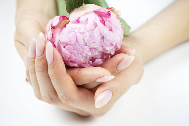 Beautiful pink peony in ladys hands. - Zdjęcie, obraz