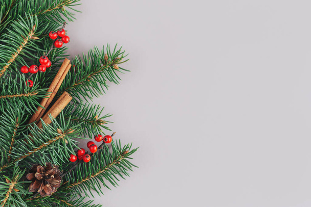 トウヒの枝、赤い果実、コーン、シナモンスティックを持つクリスマスの背景。休日の環境に優しい概念。灰色の背景。平置きだ。テキストの場所. - 写真・画像