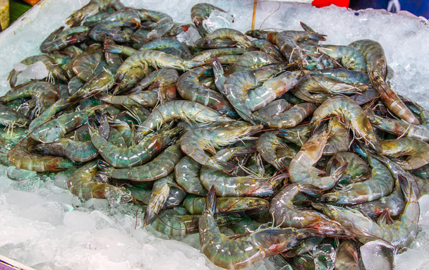 frutos do mar da Tailândia Sudeste Asiático - Foto, Imagem