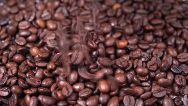 pražená kávová zrna, detailní záběr kávových zrn. padající kávová zrna selektivní zaměření - Záběry, video