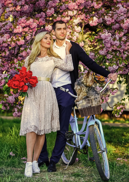 man and woman in park with pink blossom. beauty and fashion. dog in retro bicycle date. romantic couple under sakura tree. couple in love with vintage bike. spring flower bloom - Foto, Bild