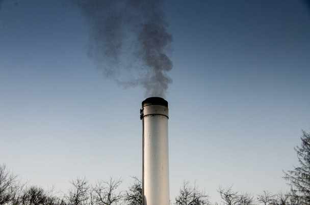 Smoking stainless steel chimney in front of morning sky, trees in the background. - Photo, Image