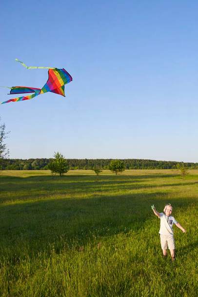 Little boy holds a kite on a green meadow, summer fun theme. - Foto, imagen