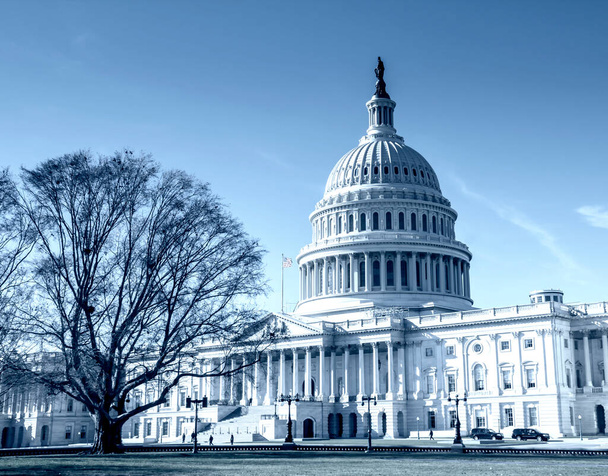 Edificio del Capitolio de Estados Unidos, Washington DC - Foto, imagen