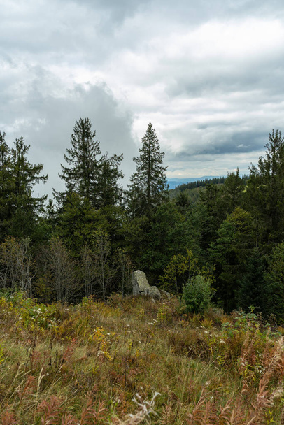 Autumn landscape in the Black Forest - Foto, Imagen