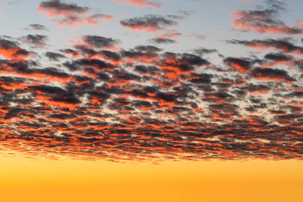 Όμορφα κόκκινα σύννεφα φωτίζονται από τις ακτίνες του ήλιου στο ηλιοβασίλεμα επιπλέουν στον χρυσό ουρανό. - Φωτογραφία, εικόνα