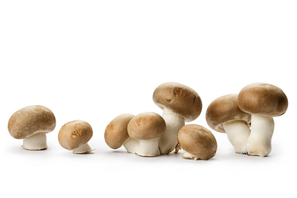 Cogumelos Champignon isolados sobre fundo branco. Ingrediente alimentar vegetariano. Cogumelos frescos da floresta. - Foto, Imagem