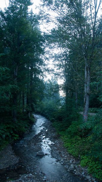 Schöne Landschaft des Gebirgsflusses. Fließen im Frühling zwischen bemoosten Felsen im Wald. Bäume in grünem Laub - Foto, Bild