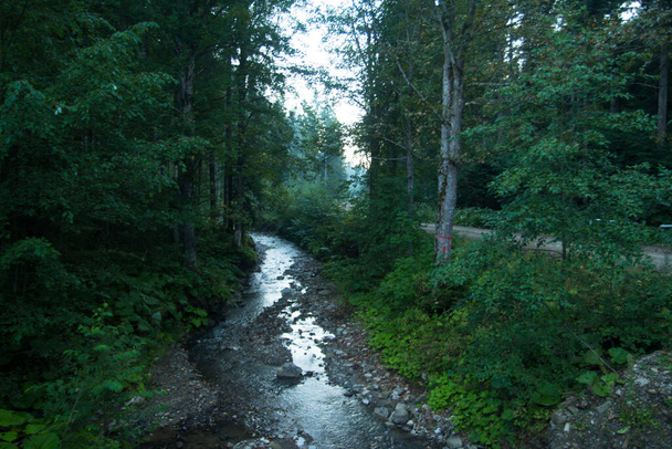 Schöne Landschaft des Gebirgsflusses. Fließen im Frühling zwischen bemoosten Felsen im Wald. Bäume in grünem Laub - Foto, Bild