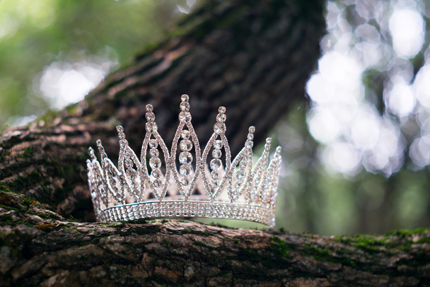 Роскошная корона, свадебные аксессуары - Фото, изображение