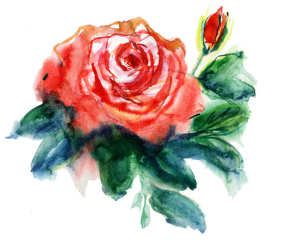 Red roses - Фото, изображение