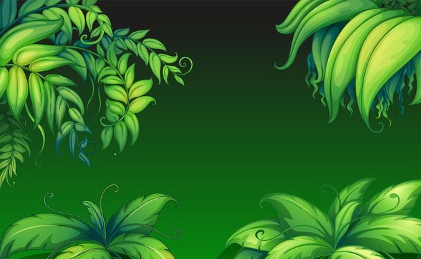 Зеленые листовые растения
 - Вектор,изображение