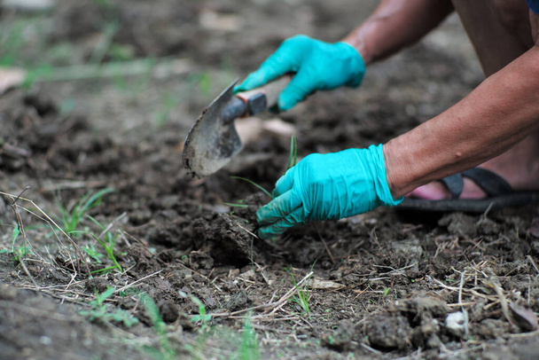 Bewegung verschwommene Hände des Gärtners verwenden einen Pflanzlöffel, um das Unkraut aus dem Boden im Hinterhof entfernen - Foto, Bild