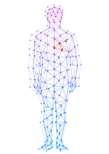 abstraktní model člověka s body a čáry. vektorový pozadí - Vektor, obrázek