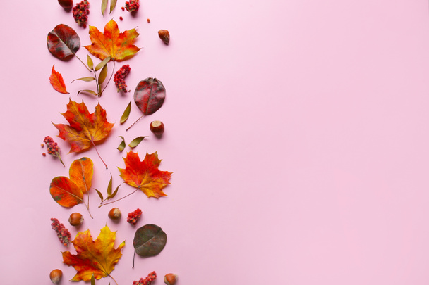 Composizione con foglie autunnali su sfondo a colori - Foto, immagini