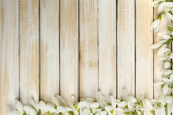 Beautiful snowdrops on wooden background - Photo, Image