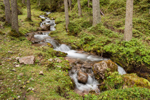 Horský potok teče v mlžném lese - Fotografie, Obrázek