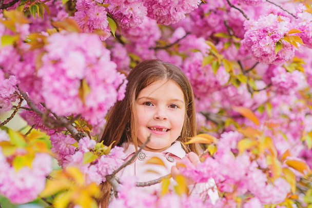 Allergy remedy. Child enjoy life without allergy. Sniffing flowers. Get rid of seasonal allergy. Girl enjoying floral aroma. Pollen allergy concept. Kid on pink flowers sakura tree background - Foto, immagini