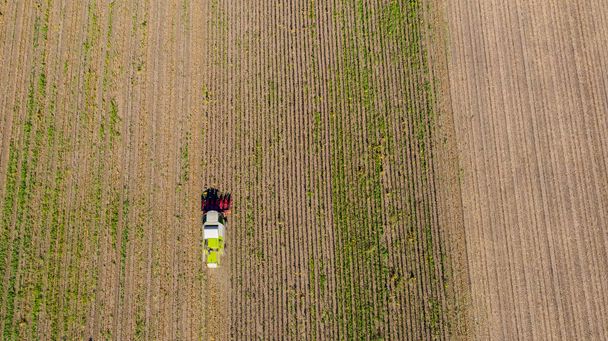 Luftaufnahme von landwirtschaftlichen Mähdrescher schneidet und erntet reife Sonnenblumen auf landwirtschaftlichen Feldern. - Foto, Bild
