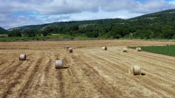 Çiftlik arazisinde buğday balyaları. Navarra, İspanya, Avrupa. Hava görüntüsü. 4K. - Video, Çekim