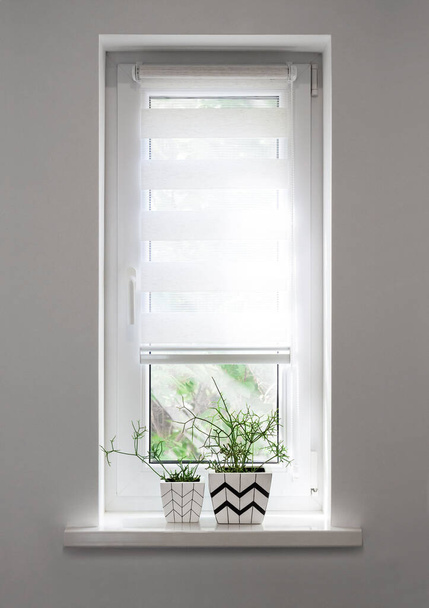 Deux pots de fleurs carrés blancs avec des motifs géométriques avec des plantes de rhipsalis plantées en eux se tiennent sur le rebord de la fenêtre avec store à rouleaux partiellement surélevé - Photo, image