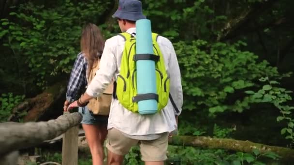 Młodzi turyści wędrują po zielonym lesie - Materiał filmowy, wideo