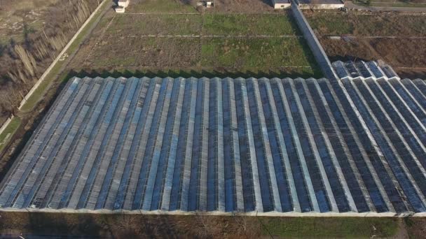 Légi felvétel üvegházakról. Üvegtető a napfényhez való hozzáféréshez az üvegházak növényeihez és mezőgazdasági földjeihez, a napelemekhez hasonlóan.  - Felvétel, videó