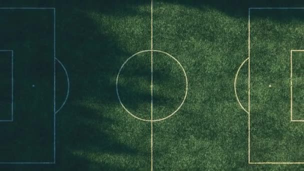 Fußballplatz in der Mitte des Waldes von oben. Simulierte Luftaufnahmen. Realistische 3D-Animation - Filmmaterial, Video