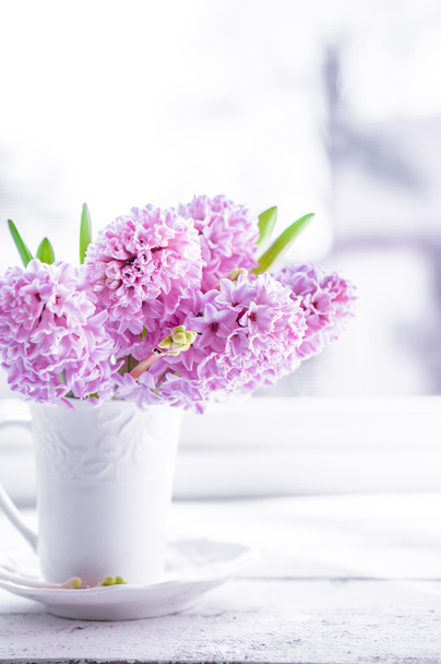 Pink  hyacinths in white vase on white background - Foto, immagini
