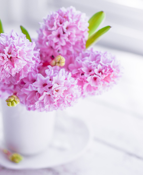 Pink  hyacinths in white vase on white background - Foto, afbeelding