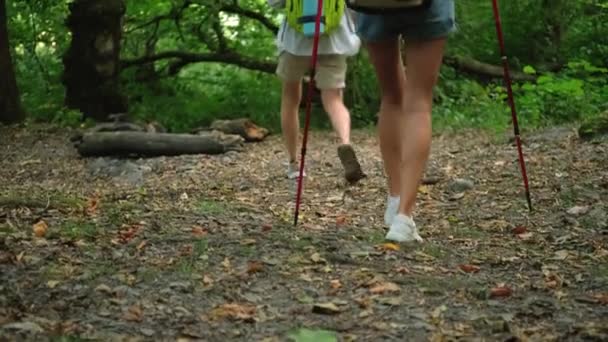 matkustaminen metsässä, mies ja nainen ovat pysähtymässä - Materiaali, video