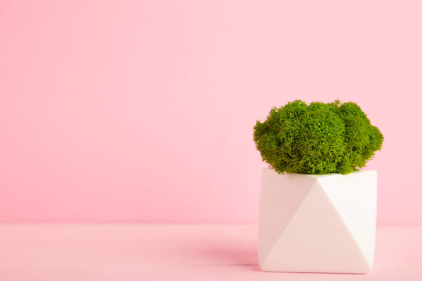 White vase with stabilized moss on pink background. Eco design interior. Top View. - Foto, afbeelding