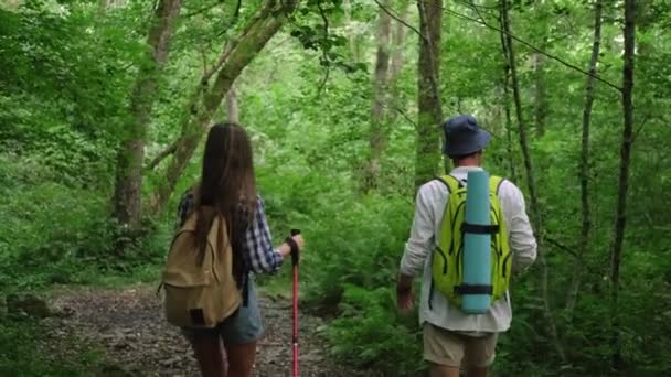 Les jeunes hommes et les jeunes femmes font de la randonnée en bois dense - Séquence, vidéo